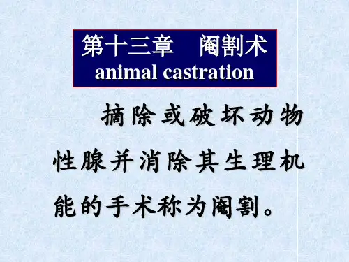 动物去势术