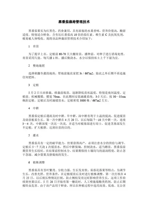 黑番茄栽培管理技术