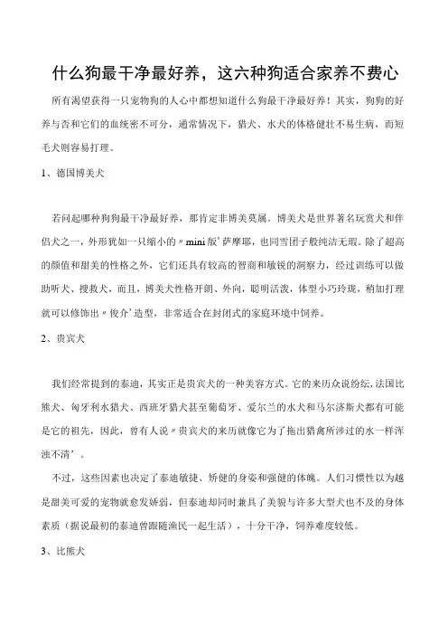 什么狗最干净最好养,这六种狗适合家养不费心