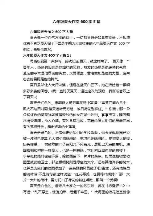 六年级夏天作文600字5篇
