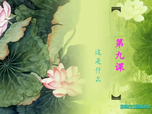 对外汉语一年级教材 看图说话 第九课3