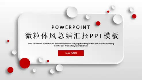 微粒体风总结汇报PPT模板