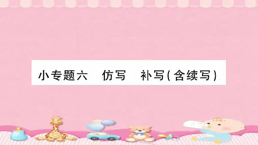 小专题六-2020届九年级语文中考复习课件 (共22张PPT)PPT课件