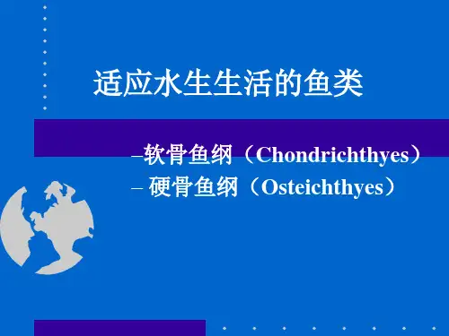 普通动物学鱼类