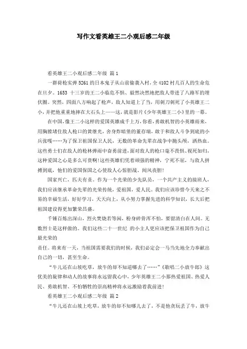 写作文看英雄王二小观后感二年级
