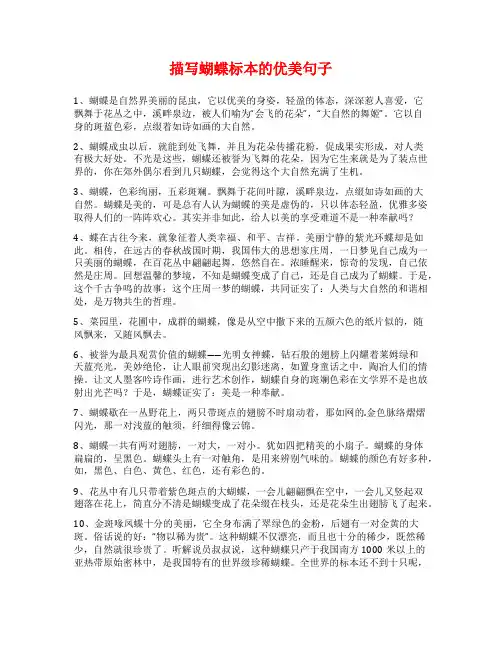 描写蝴蝶标本的优美句子