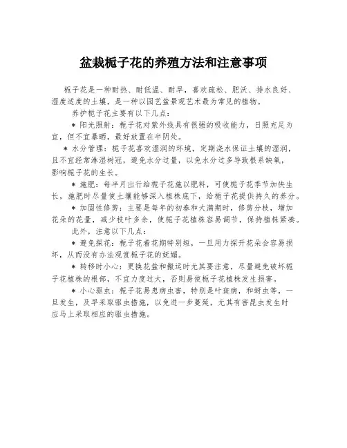 盆栽栀子花的养殖方法和注意事项