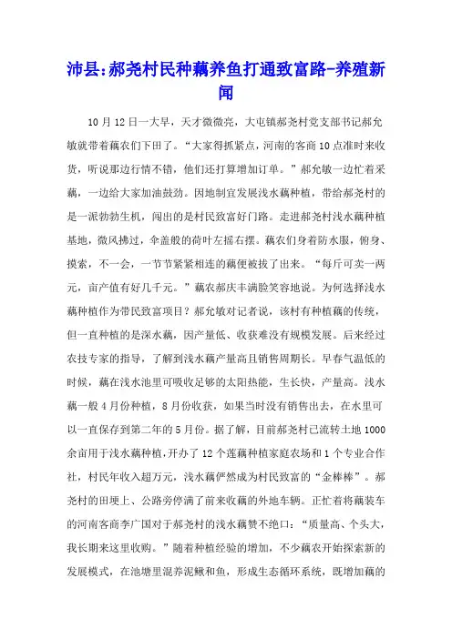 沛县：郝尧村民种藕养鱼打通致富路 - 养殖新闻