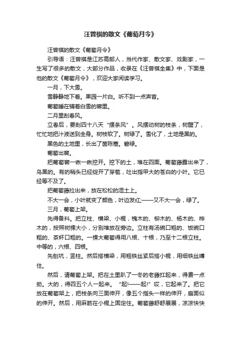 汪曾祺的散文《葡萄月令》