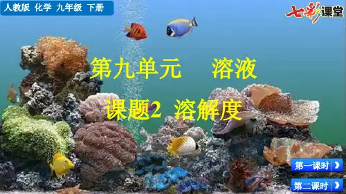 2020春七彩课堂初中化学人教版九年级下册教学课件第九单元 溶液课题2 溶解度