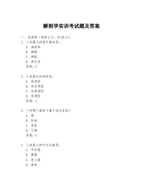解剖学实训考试题及答案
