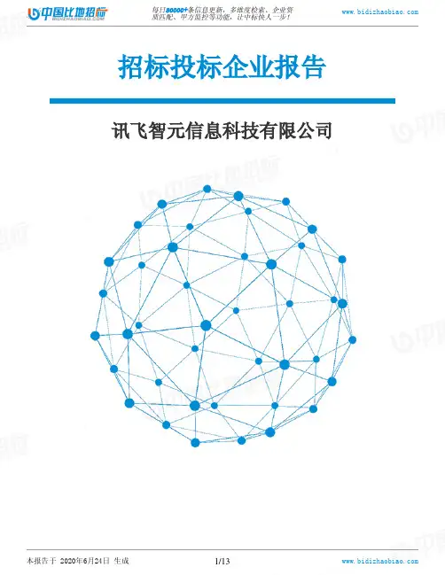 讯飞智元信息科技有限公司-招投标数据分析报告