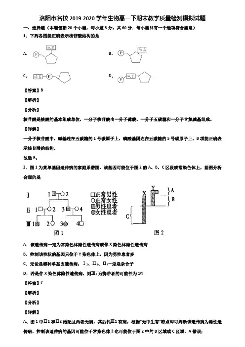 洛阳市名校2019-2020学年生物高一下期末教学质量检测模拟试题含解析