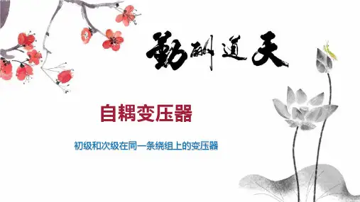 自耦变压器 
