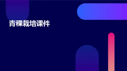 青稞栽培课件ppt