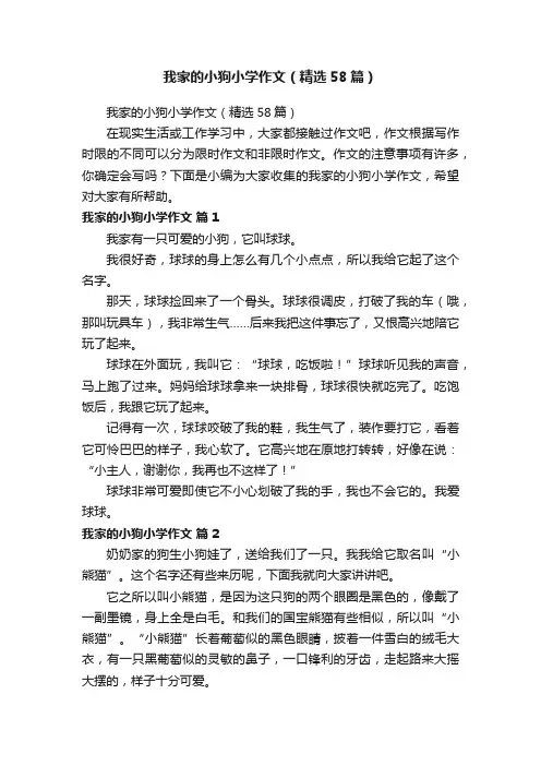 我家的小狗小学作文（精选58篇）