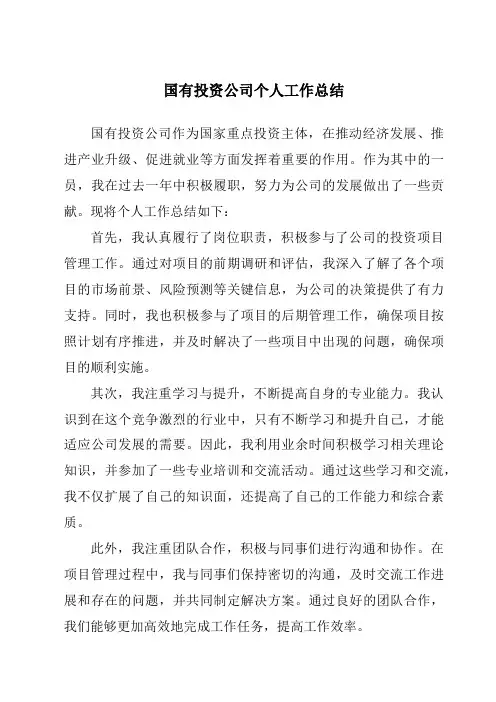 国有投资公司个人工作总结