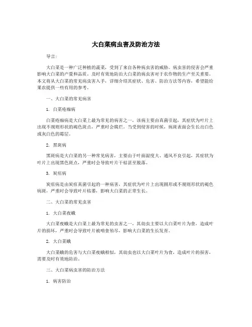大白菜病虫害及防治方法