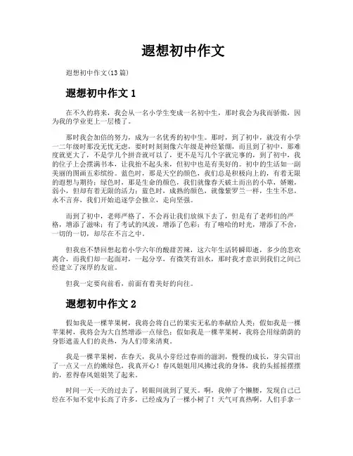 遐想初中作文