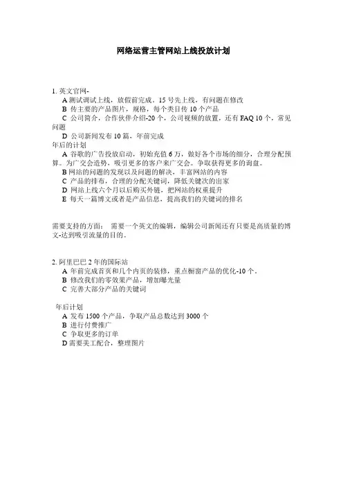 网络运营主管网站上线投放计划