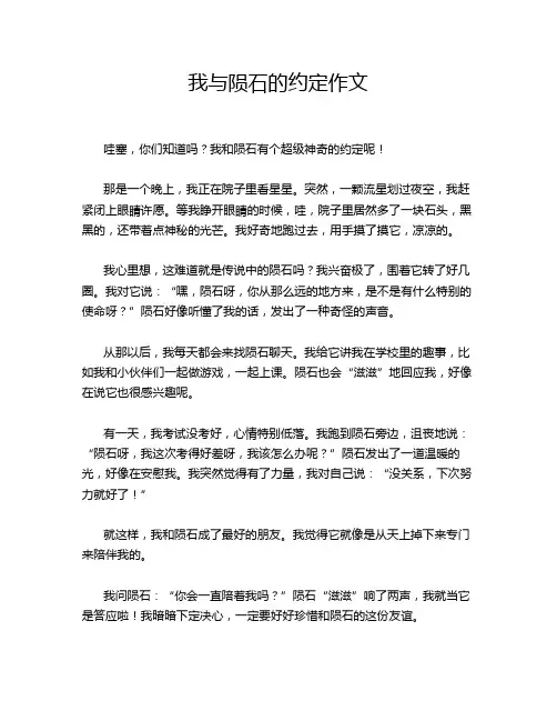 我与陨石的约定作文