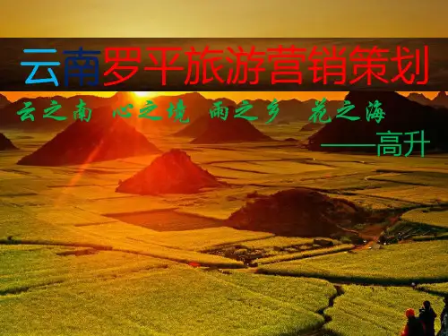 罗平旅游营销