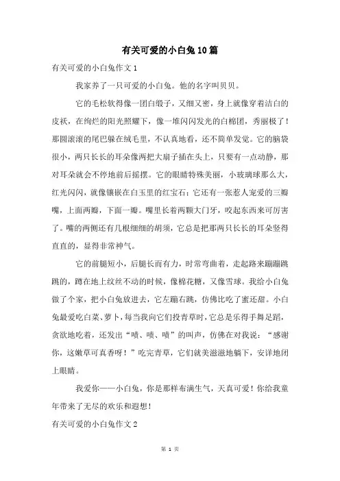 有关可爱的小白兔10篇
