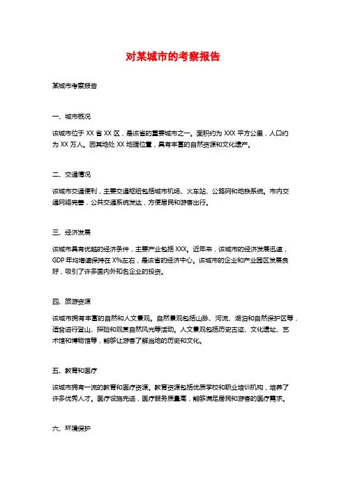 对某城市的考察报告