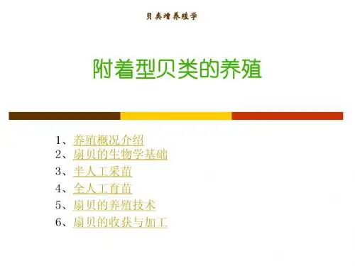 附着型贝类的养殖
