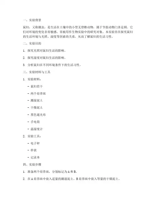 鼠妇探究实验报告