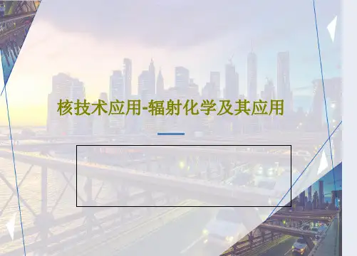 核技术应用-辐射化学及其应用127页PPT
