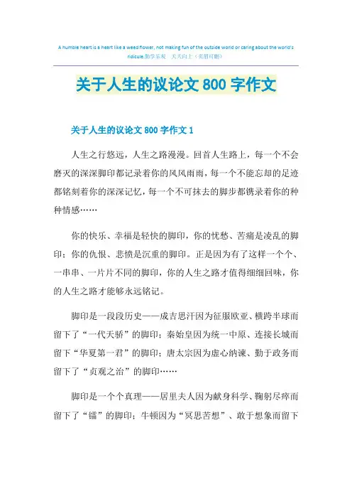 关于人生的议论文800字作文