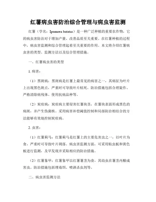 红薯病虫害防治综合管理与病虫害监测