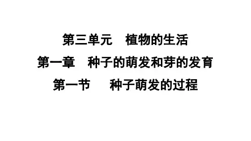 3.1.1 种子萌发的过程  课件 冀少版生物八年级上册