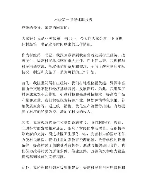 村级第一书记述职报告