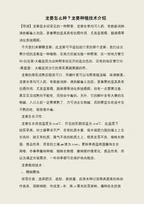 龙葵怎么种？龙葵种植技术介绍