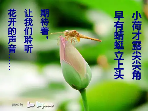 作文亮点打造之段首中心段尾结(点题)
