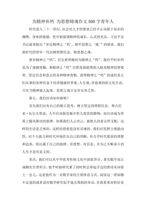 为精神补钙 为思想铸魂作文800字青年人