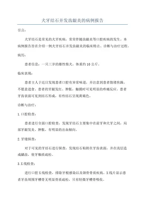 犬牙结石并发齿龈炎的病例报告