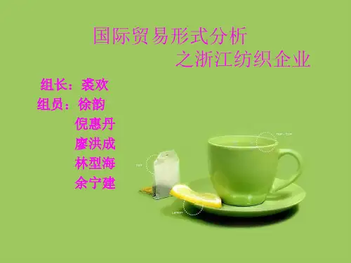 浙江省纺织企业危机详情(ppt 17页)