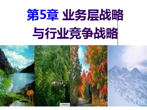 第5章业务层战略与行业竞争战略.pptx