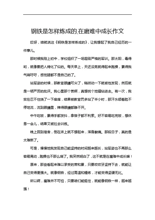 钢铁是怎样炼成的,在磨难中成长作文