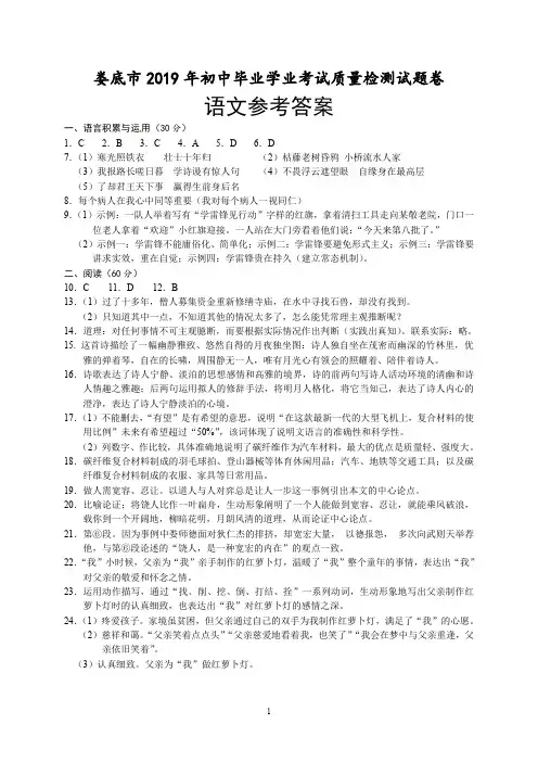 2019娄底市双峰县中考考前模拟语文试题卷答案解析