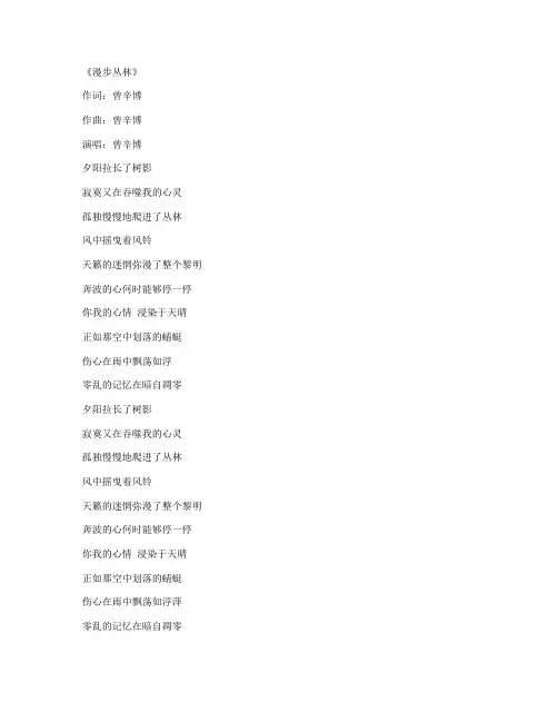 曾辛博歌词全集