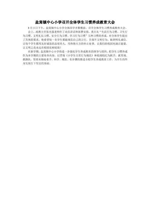 盐窝镇中心小学召开全体学生习惯养成教育大会
