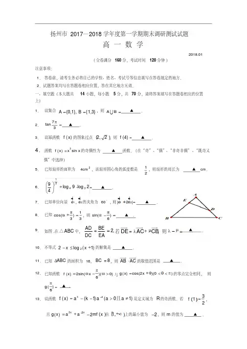 江苏省扬州市2018-2019学年高一上学期期末考试数学Word版含答案