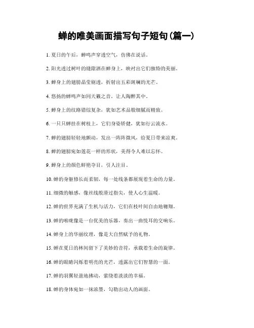 蝉的唯美画面描写句子短句(精选两篇)