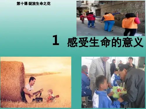 (秋季版)七年级道德与法治上册 10.1 感受生命的意义课堂作业课件 新人教版