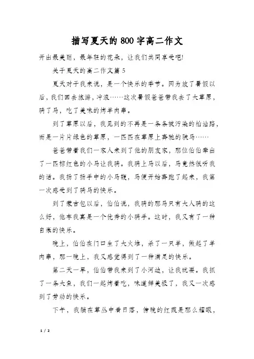 描写夏天的800字高二作文