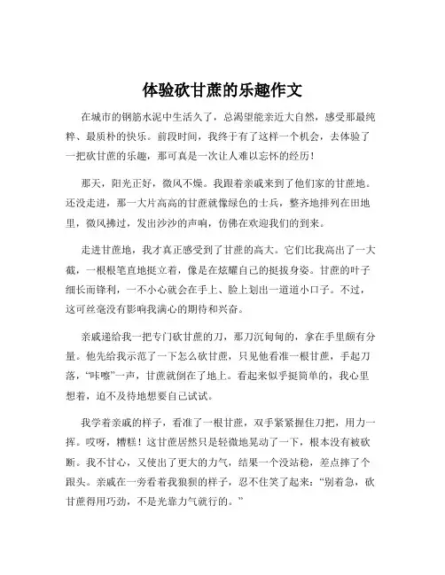 体验砍甘蔗的乐趣作文